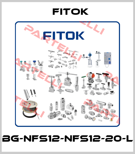 BG-NFS12-NFS12-20-L Fitok