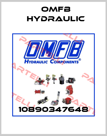10890347648 OMFB Hydraulic