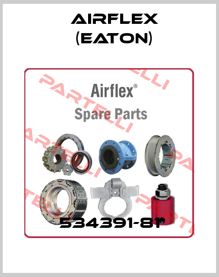 534391-81 Airflex (Eaton)