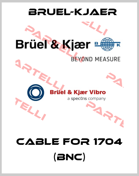 Cable for 1704 (BNC) Bruel-Kjaer