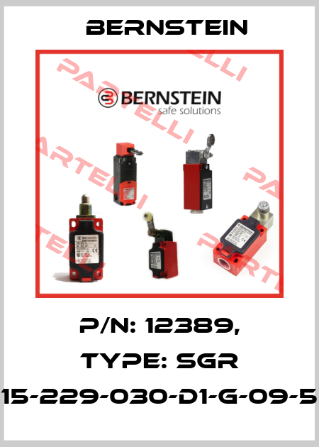 P/N: 12389, Type: SGR 15-229-030-D1-G-09-5 Bernstein