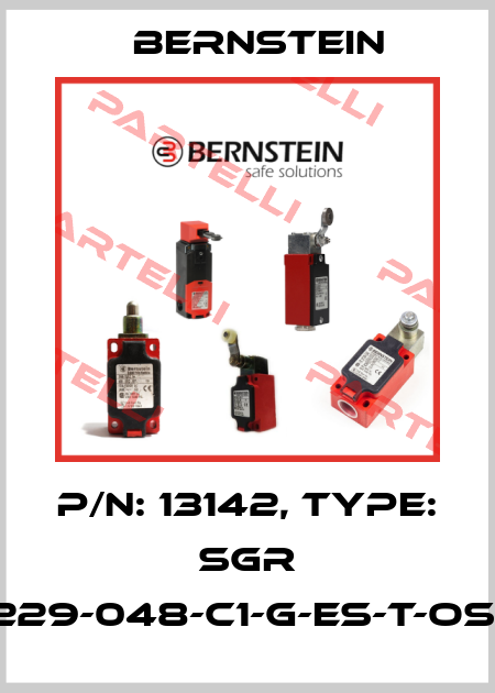 P/N: 13142, Type: SGR 15-229-048-C1-G-ES-T-OSE-5 Bernstein