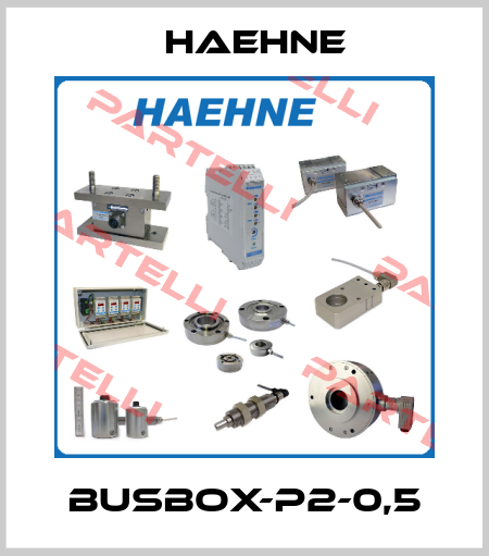 Busbox-P2-0,5 HAEHNE