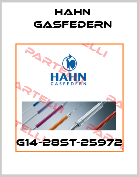 G14-28ST-25972 Hahn Gasfedern