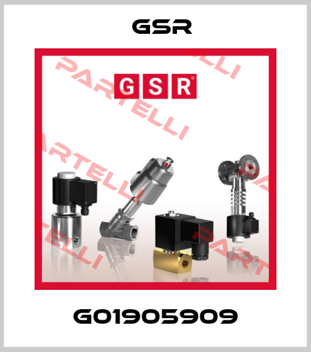 G01905909 GSR