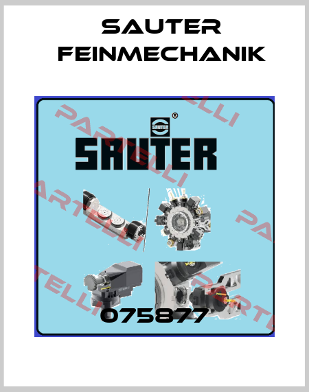 075877 Sauter Feinmechanik