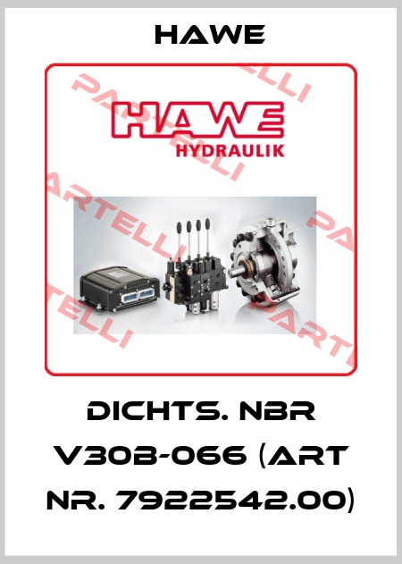 Dichts. NBR V30B-066 (Art Nr. 7922542.00) Hawe