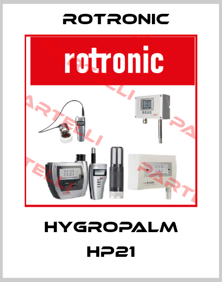 HygroPalm HP21 Rotronic