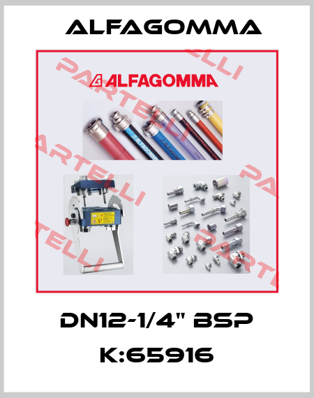 DN12-1/4" BSP K:65916 Alfagomma