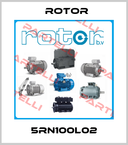 5RN100L02 Rotor