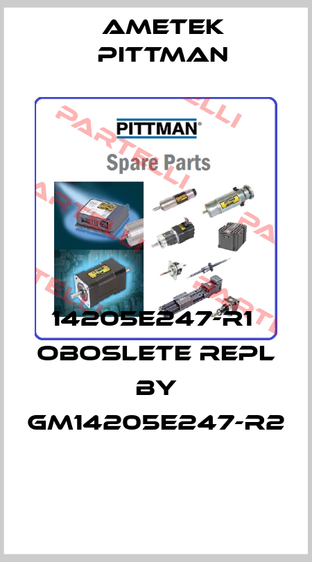 14205E247-R1  oboslete repl by GM14205E247-R2  Ametek Pittman