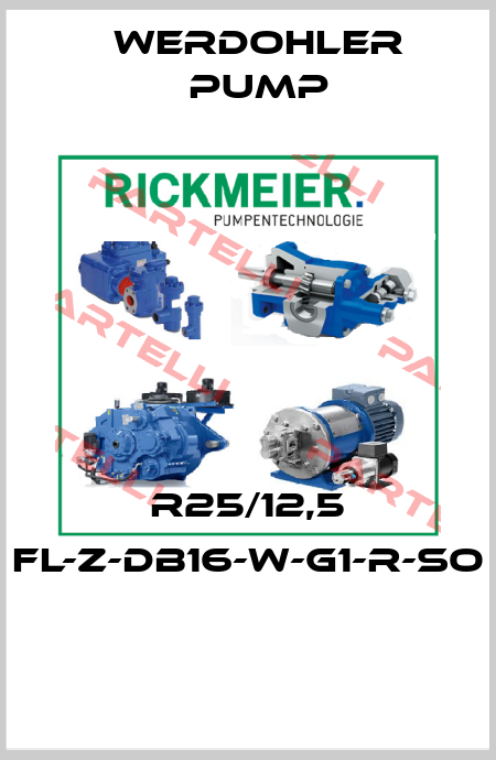 R25/12,5 FL-Z-DB16-W-G1-R-SO  Werdohler Pump