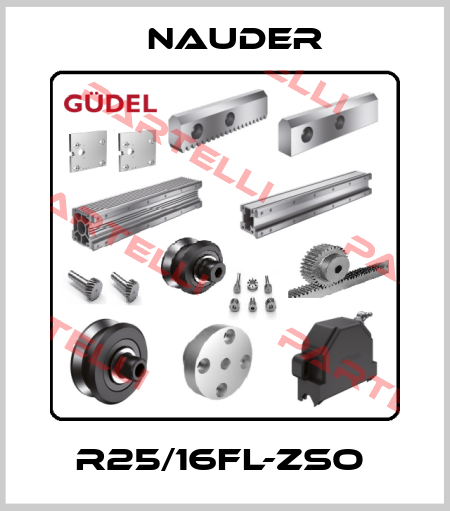 R25/16FL-ZSO  Nauder