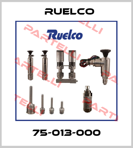 75-013-000 Ruelco