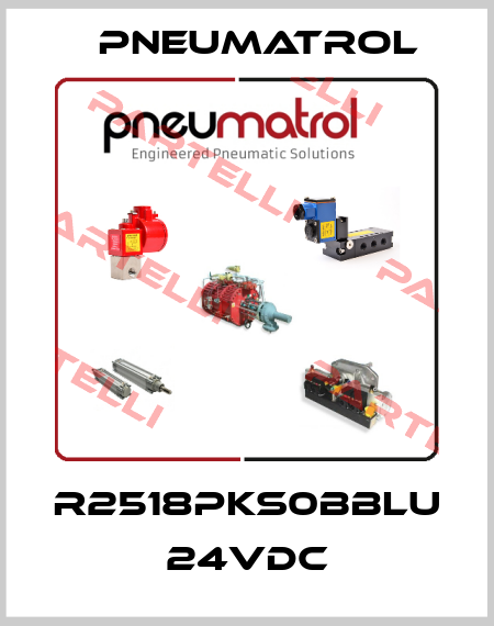 R2518PKS0BBLU 24VDC Pneumatrol