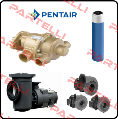 80H100/120 A/R for pos13 Pentek (Pentair)