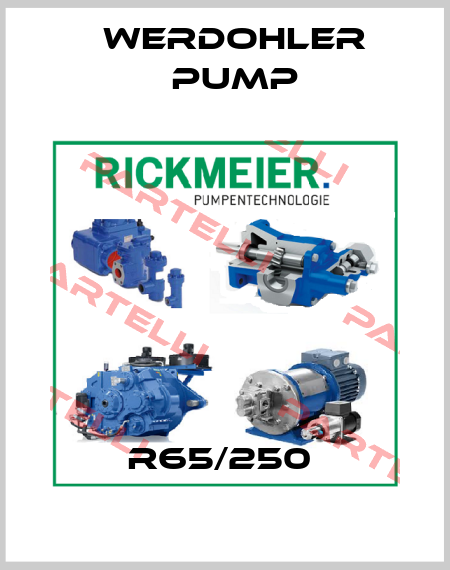 R65/250  Werdohler Pump