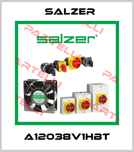 A12038V1HBT Salzer