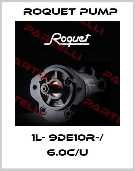 1L- 9DE10R-/ 6.0c/U Roquet pump