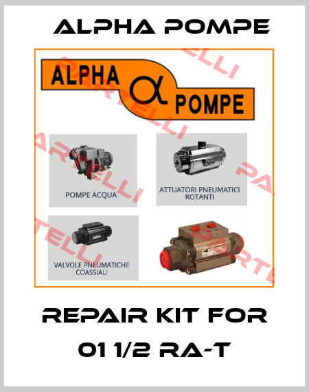 repair kit for 01 1/2 RA-T Alpha Pompe