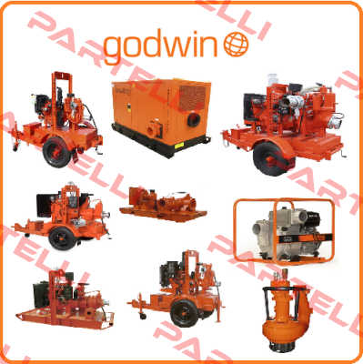 "6""X10"" Godwin Pumps