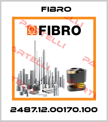 2487.12.00170.100 Fibro