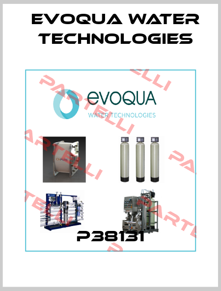P38131 Evoqua Water Technologies