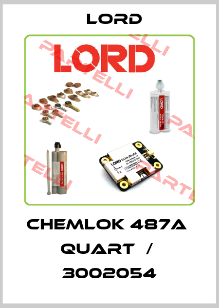 CHEMLOK 487A   QUART  /  3002054 Lord