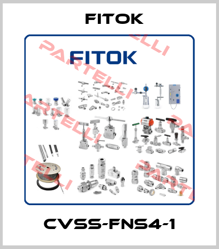 CVSS-FNS4-1 Fitok