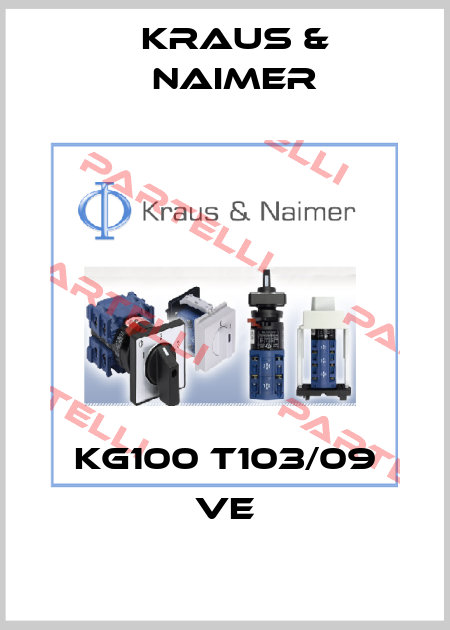 KG100 T103/09 VE Kraus & Naimer