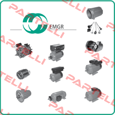 EAS 63K 2-E1AA;5W46 Elektromotorenwerk Grünhain 