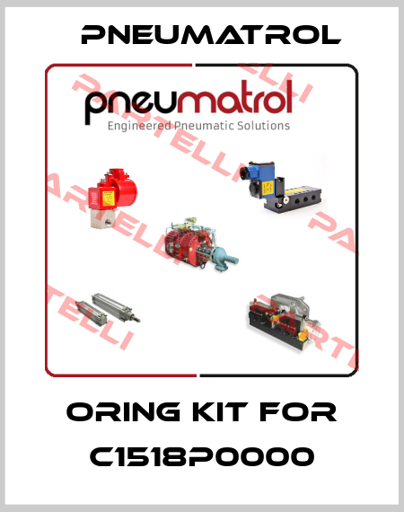 Oring kit for C1518P0000 Pneumatrol