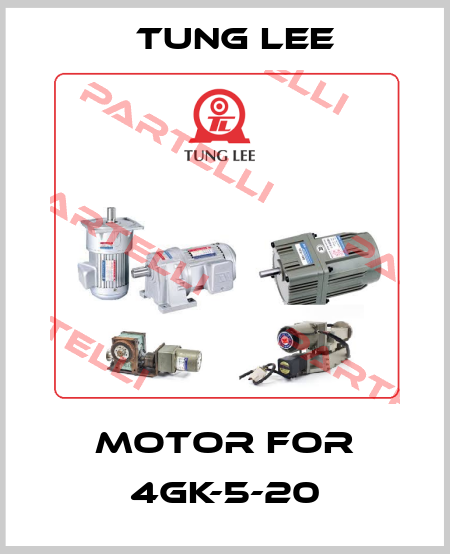 Motor for 4GK-5-20 TUNG LEE