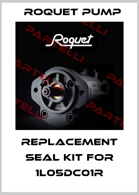 replacement seal kit for 1L05DC01R Roquet pump
