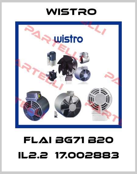 FLAI Bg71 B20 IL2.2  17.002883 Wistro