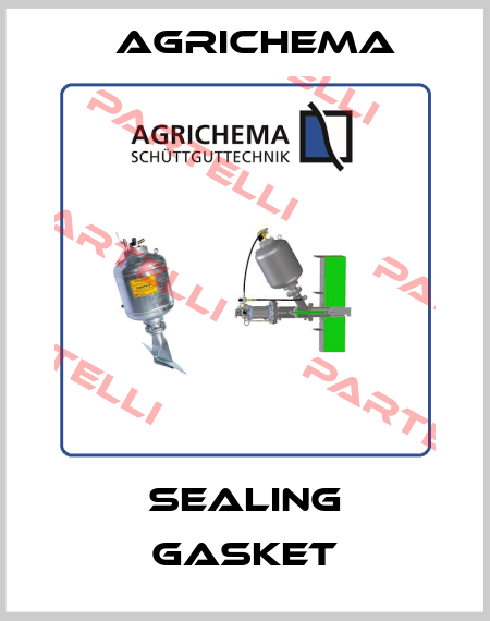 Sealing gasket Agrichema