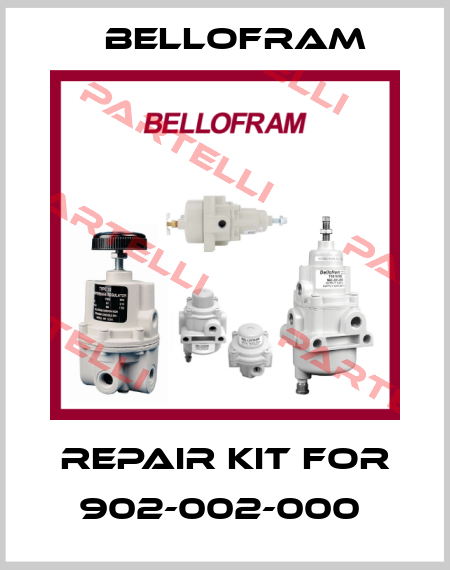 REPAIR KIT FOR 902-002-000  Bellofram