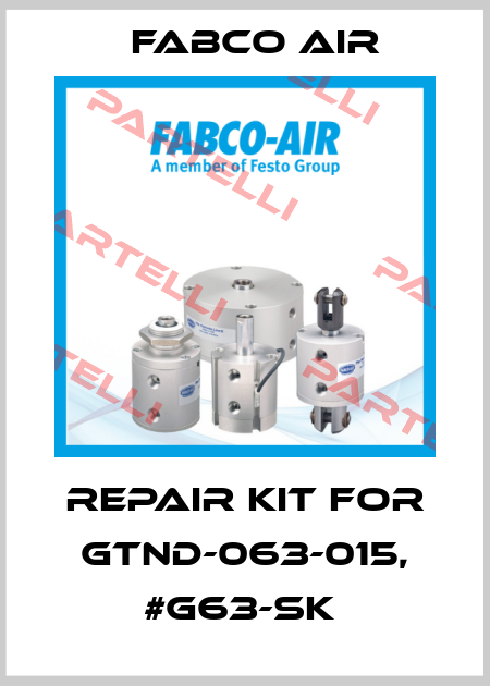 REPAIR KIT FOR GTND-063-015, #G63-SK  Fabco Air