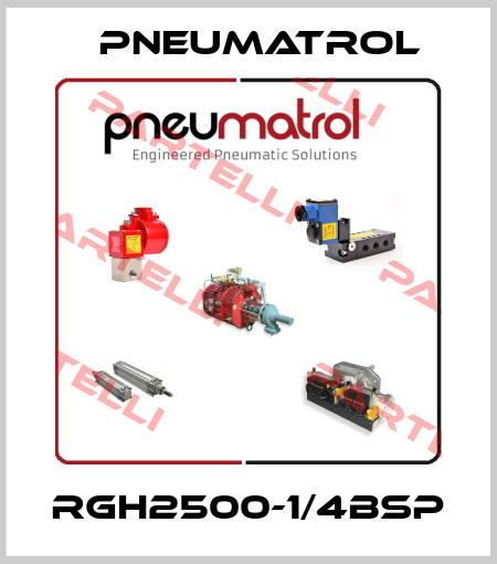 RGH2500-1/4BSP Pneumatrol