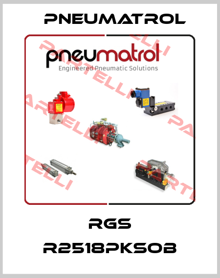 RGS R2518PKSOB Pneumatrol