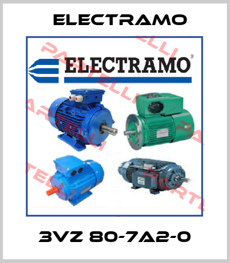 3VZ 80-7A2-0 Electramo