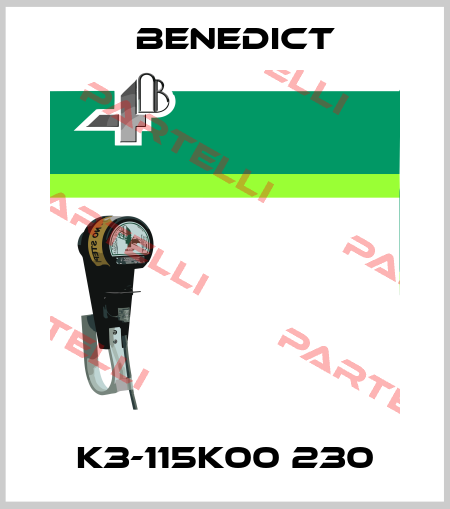 K3-115K00 230 Benedict