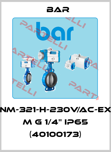 NM-321-H-230V/AC-EX m G 1/4" IP65 (40100173) bar