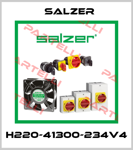 H220-41300-234V4 Salzer