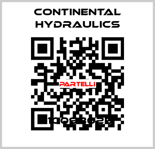 H10098025  Continental Hydraulics