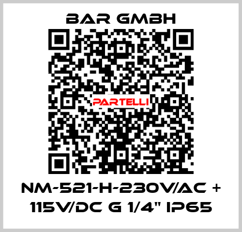NM-521-H-230V/AC + 115V/DC G 1/4" IP65 Bar Gmbh