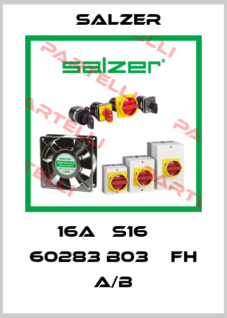 16A   S16     60283 B03    FH A/B Salzer