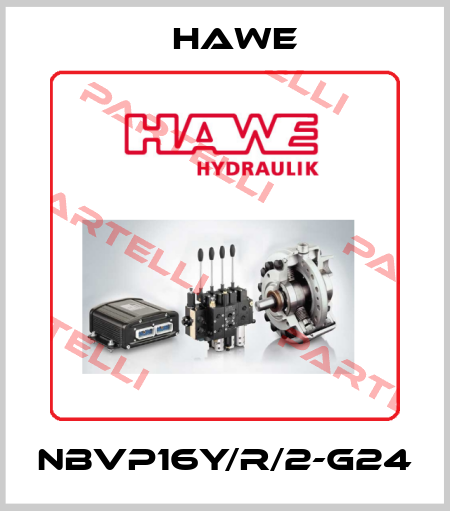 NBVP16Y/R/2-G24 Hawe