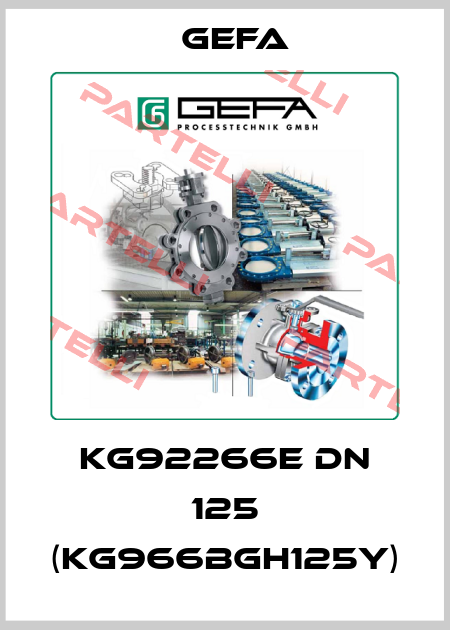 KG92266E DN 125 (KG966BGH125Y) Gefa