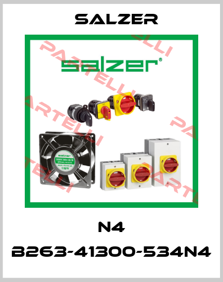 N4 B263-41300-534N4 Salzer